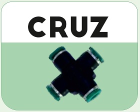 CRUZ 6