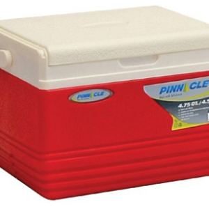 HELADERA LUNCHERA DE 4,5 LTS