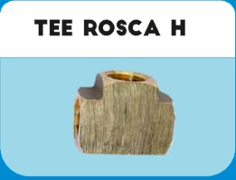 TEE HEMBRA 1/2